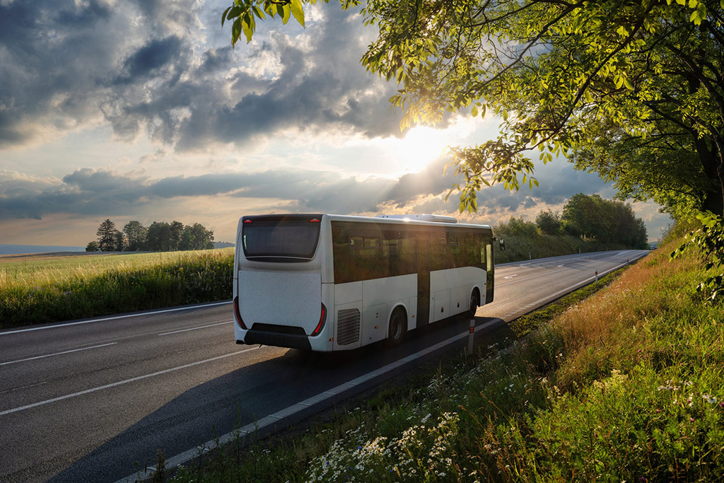 Bus per Venezia Hotel Albatros Mestre Venezia
